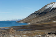 Tundra at Dolerittneset / View of the tundra at Dolerittneset, Svalbard