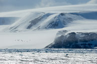 Hinlopen Strait / Floating ice, mountains and flying birds along the Hinlopen Strait, Svalbard
