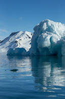 Iceberg and Reflection / Iceberg and its reflection at Burgerbukta / Brepollen, Svalbard
