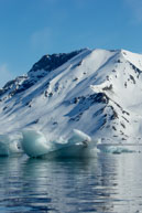 More Icebergs / More icebergs floating at Burgerbukta / Brepollen, Svalbard