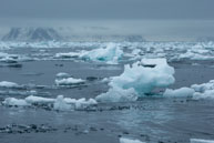 80° North Ice / Broken ice around 80° North off the North-Western coast of Spitsbergen, Svalbard