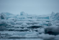 Broken Ice (1) / Broken ice at the edge of the polar ice cap North-West of Spitsbergen, Svalbard