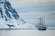Sailing Ship / Sailing ship in Magdelenefjorden, Svalbard