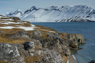 Tundra and Mountains / Tundra and Mountains at Alkhornet, Svalbard