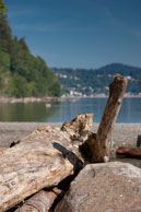 Driftwood / View at and around Mount Douglas Park